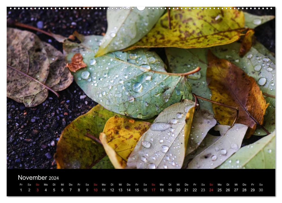 Water drops (CALVENDO wall calendar 2024) 