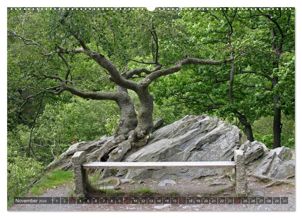 Resting places (CALVENDO wall calendar 2024) 