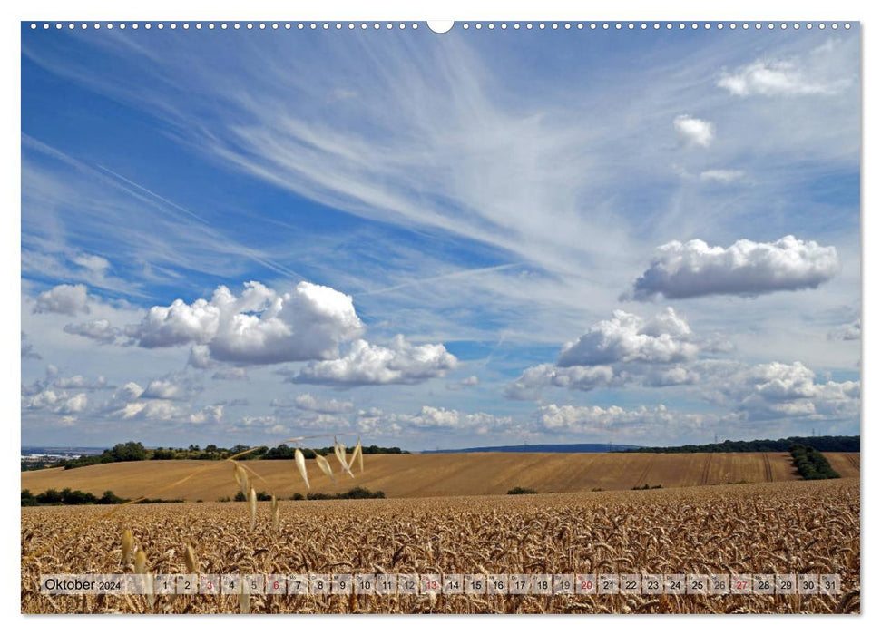 Harvest time (CALVENDO Premium Wall Calendar 2024) 