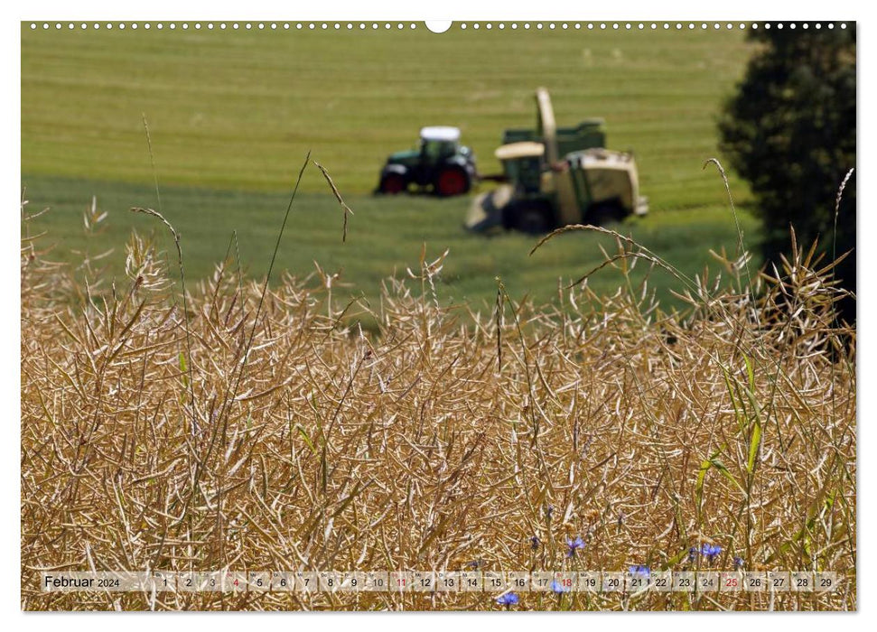 Harvest time (CALVENDO Premium Wall Calendar 2024) 