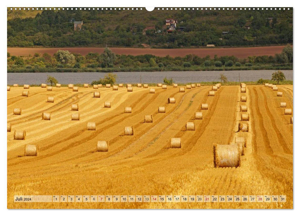 Harvest time (CALVENDO Premium Wall Calendar 2024) 