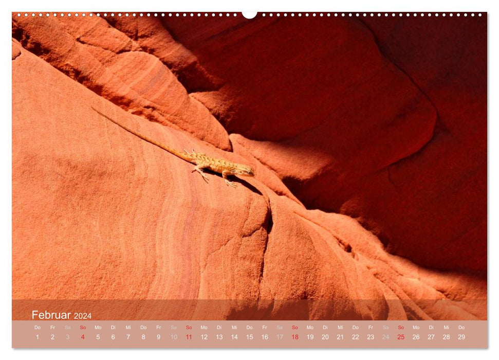 The Antelope Canyon (CALVENDO Premium Wall Calendar 2024) 