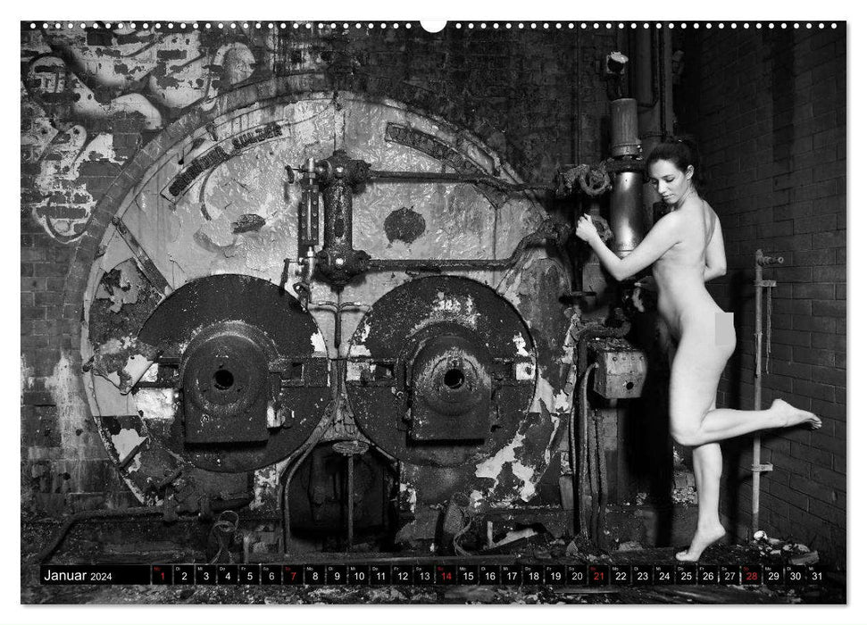 Aktfotografie in alten Mauern (CALVENDO Premium Wandkalender 2024)