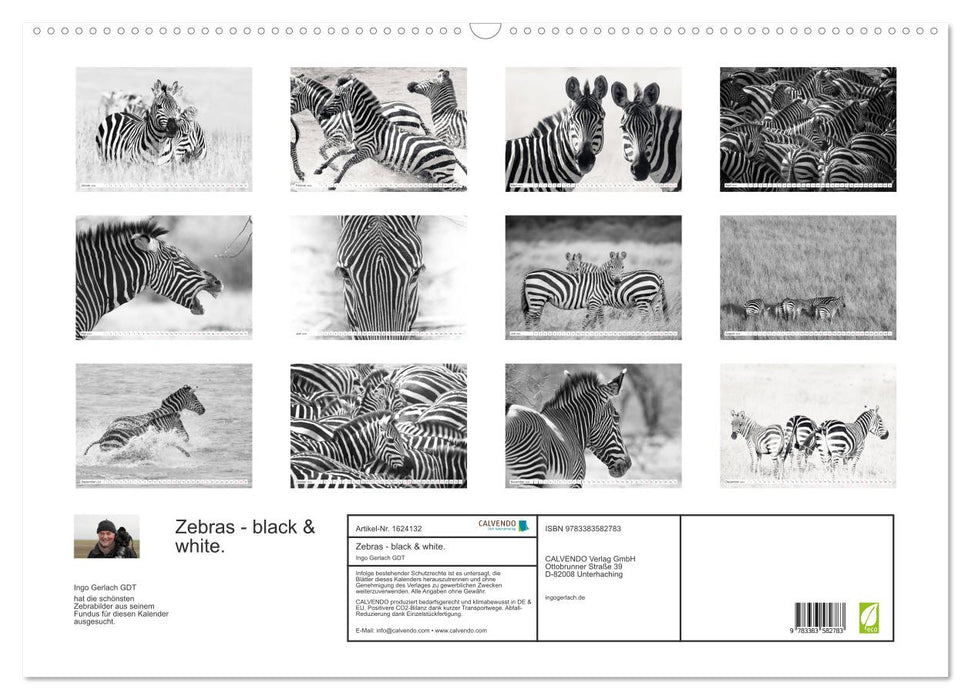Emotionale Momente: Zebras - black & white. (CALVENDO Wandkalender 2024)