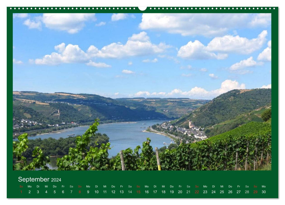 In the Rheingau (CALVENDO Premium Wall Calendar 2024) 