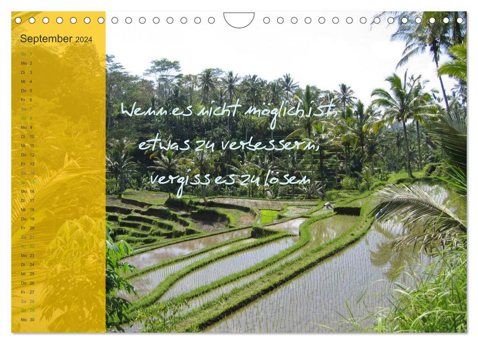 Bali und Java ~ mit indonesischen Weisheiten (CALVENDO Wandkalender 2024)