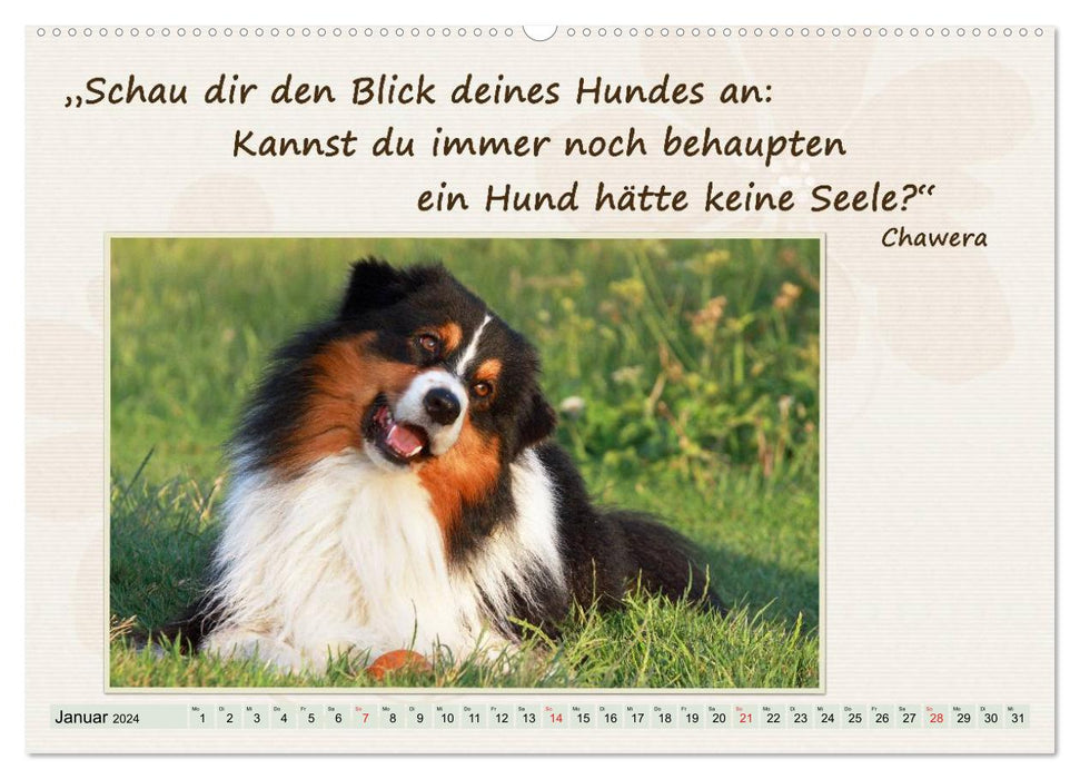 Get through the year well with dog quotes (CALVENDO Premium Wall Calendar 2024) 