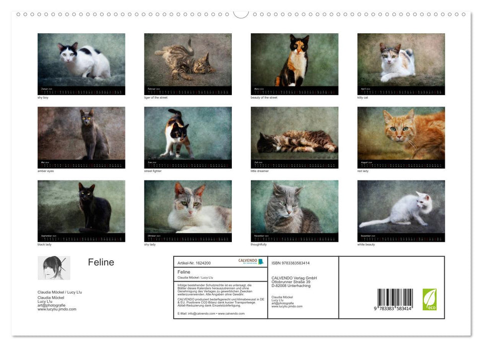 Feline (CALVENDO Premium Wandkalender 2024)