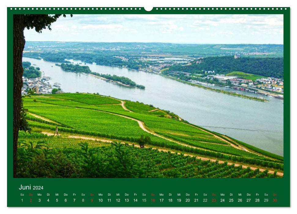 In the Rheingau (CALVENDO wall calendar 2024) 