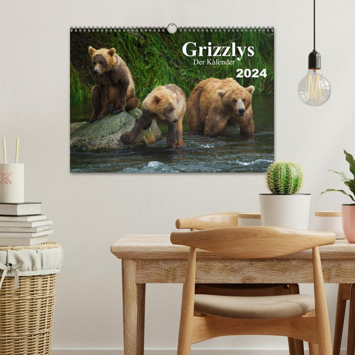 Grizzlys - Der Kalender CH-Version (CALVENDO Wandkalender 2024)