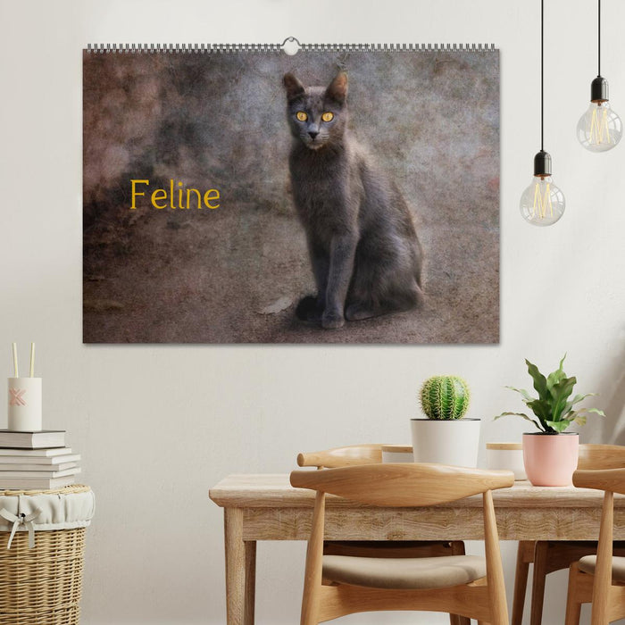 Feline (CALVENDO Wandkalender 2024)