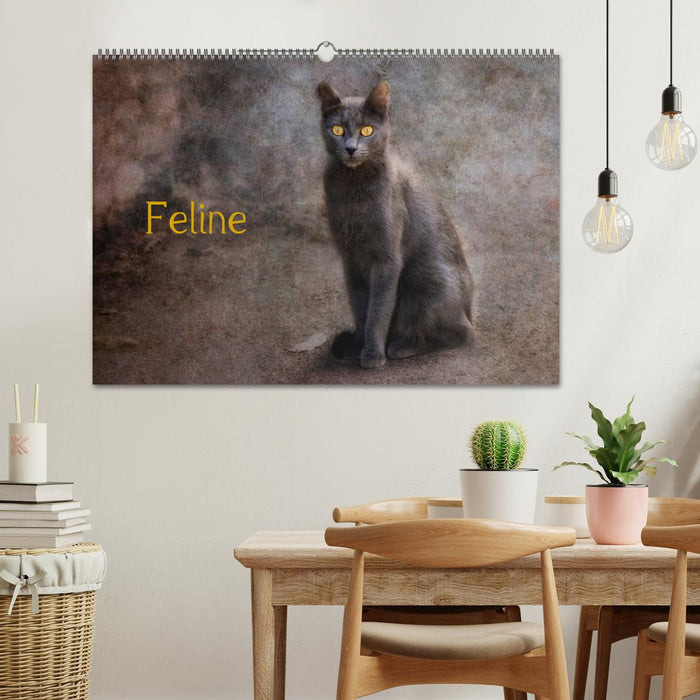 Féline (Calendrier mural CALVENDO 2024) 