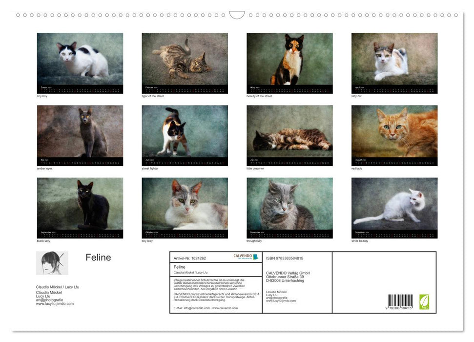 Feline (CALVENDO Wandkalender 2024)