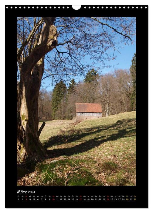 Odenwald & Bergstraße (CALVENDO Wandkalender 2024)