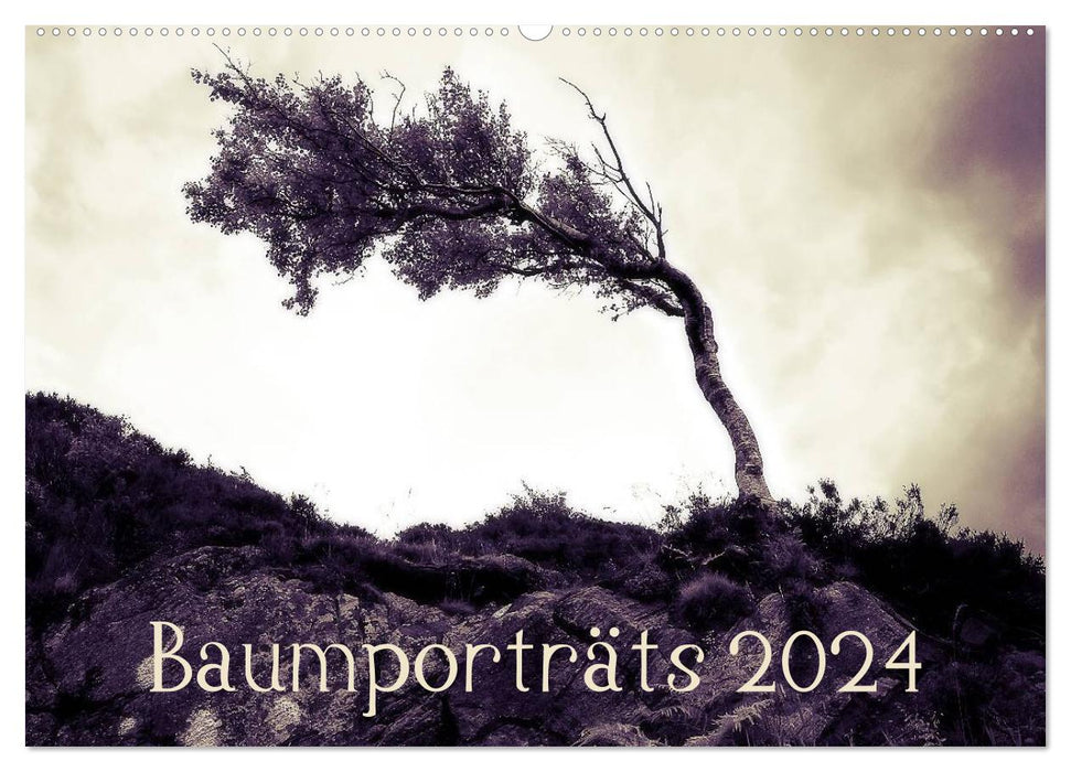 Baumporträts 2024 (CALVENDO Wandkalender 2024)