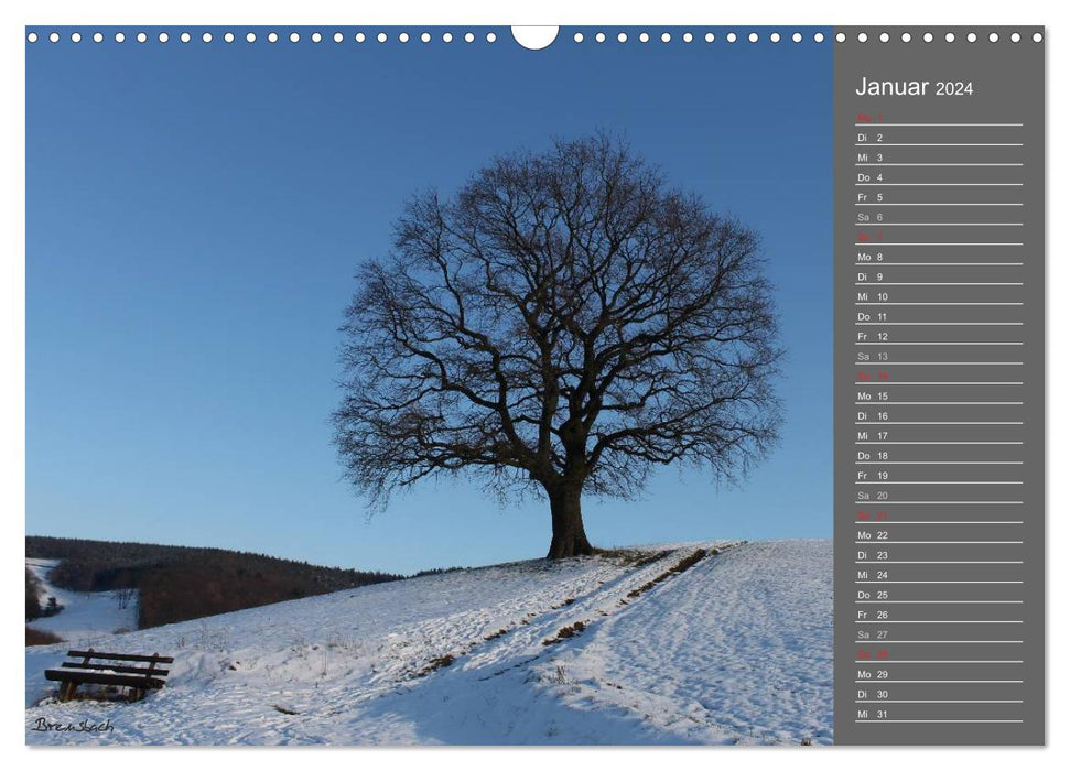 Odenwald ... ein Ausflug durch das Jahr (CALVENDO Wandkalender 2024)