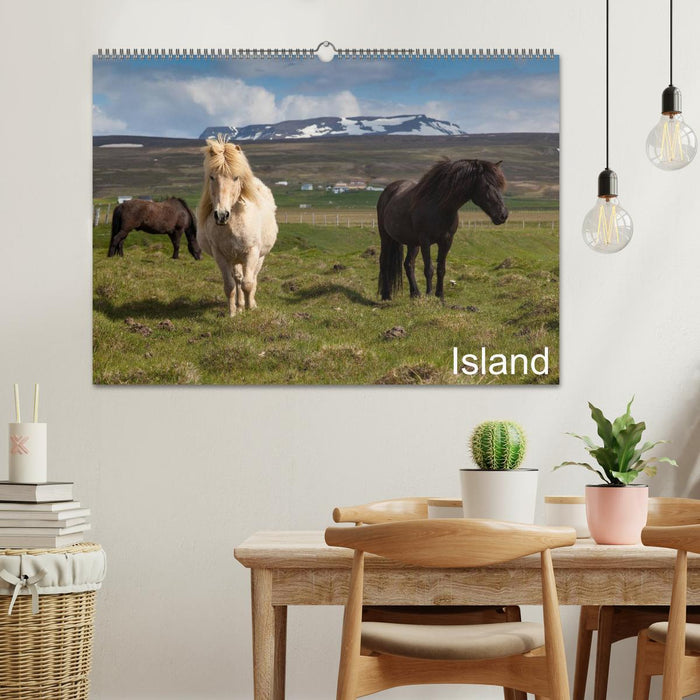 Islande (Calendrier mural CALVENDO 2024) 