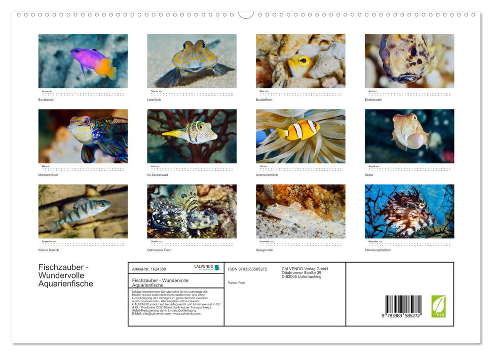 Fischzauber - Wundervolle Aquarienfische (CALVENDO Premium Wandkalender 2024)
