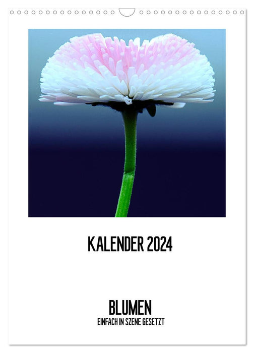 FLOWERS SIMPLY SET IN THE SCENE (CALVENDO wall calendar 2024) 