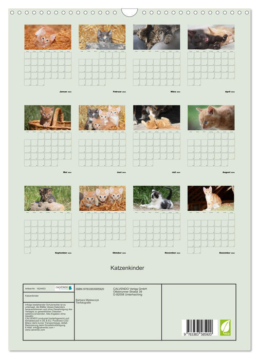 Cat children (CALVENDO wall calendar 2024) 