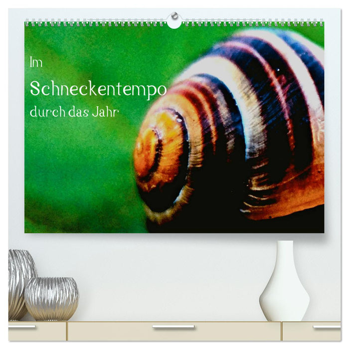 Through the year at a snail's pace (CALVENDO Premium Wall Calendar 2024) 