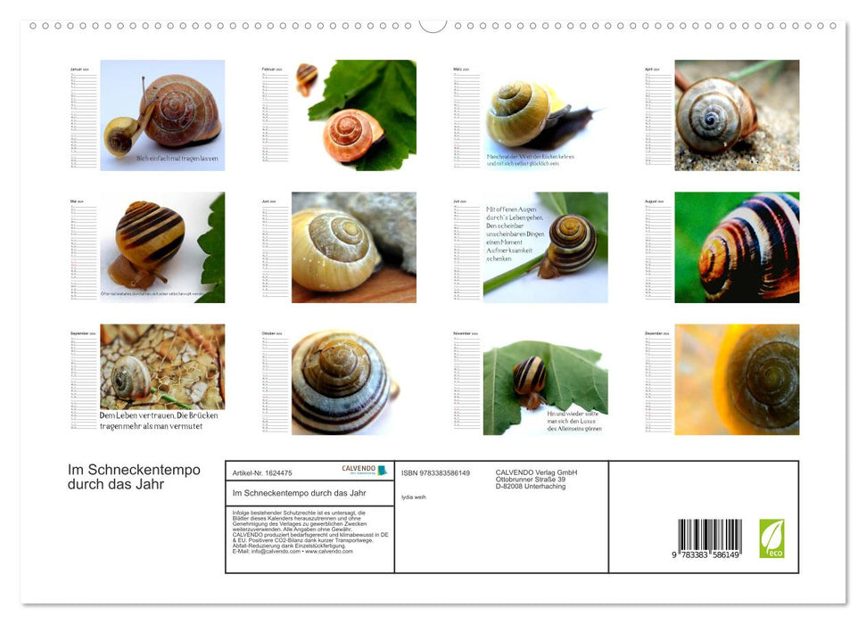 Through the year at a snail's pace (CALVENDO Premium Wall Calendar 2024) 
