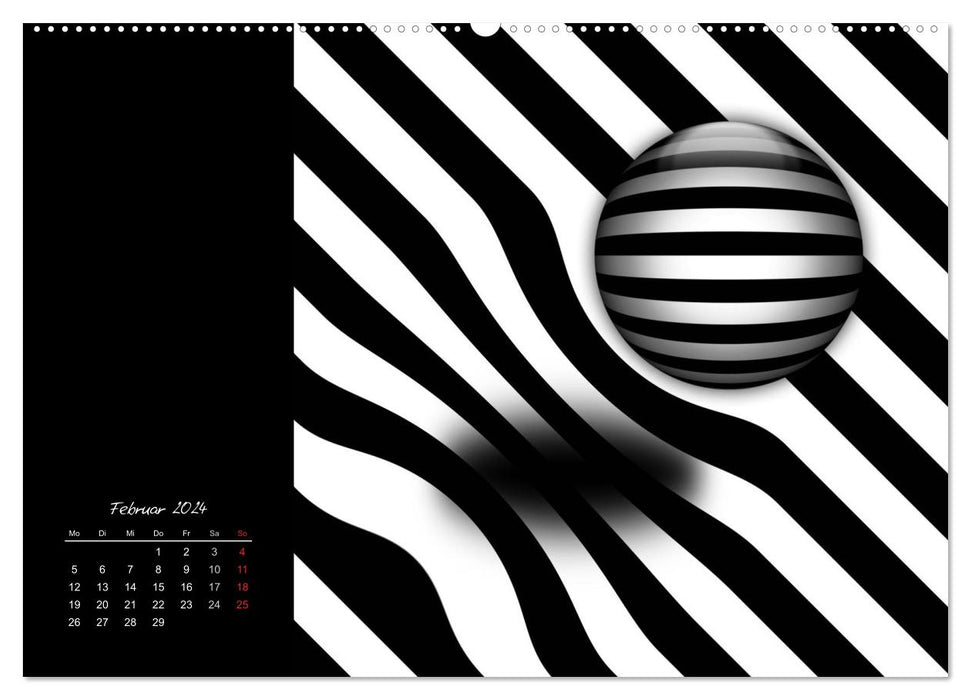 Schwarz trifft Weiß (CALVENDO Premium Wandkalender 2024)