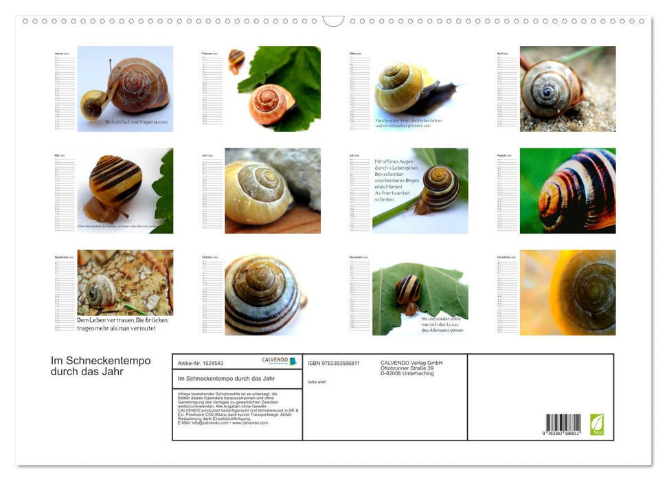 Im Schneckentempo durch das Jahr (CALVENDO Wandkalender 2024)