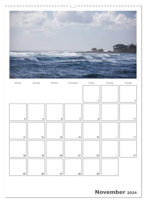 Hawaii - Terminplaner (CALVENDO Premium Wandkalender 2024)