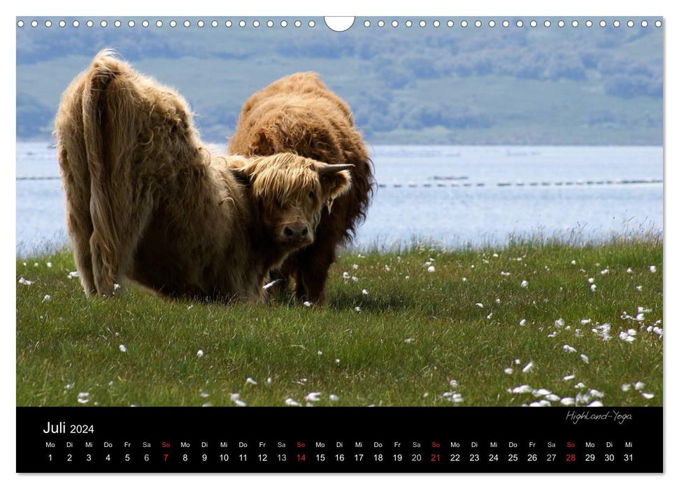 Schottland 2024 (CALVENDO Wandkalender 2024)