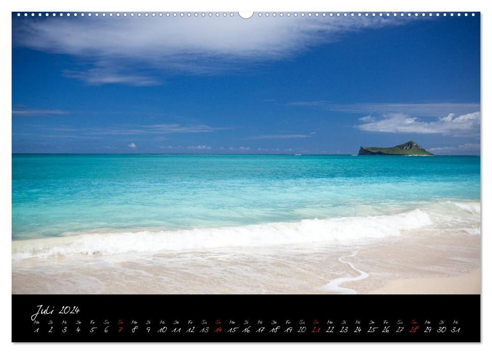 Hawaii (CALVENDO Premium Wandkalender 2024)