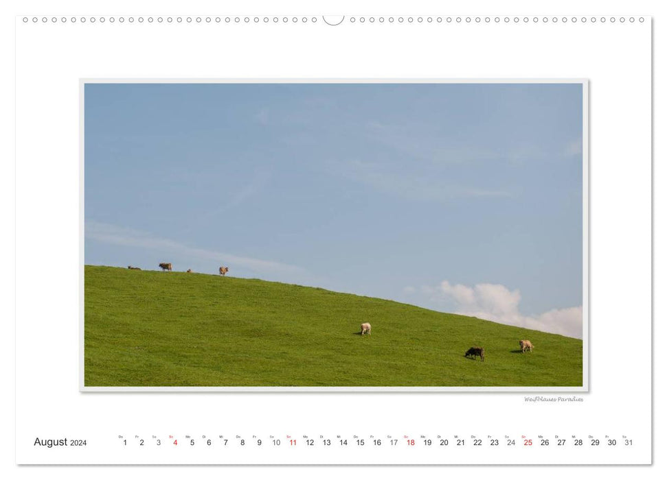 Emotionale Momente: Oberstaufen im Allgäu. (CALVENDO Premium Wandkalender 2024)