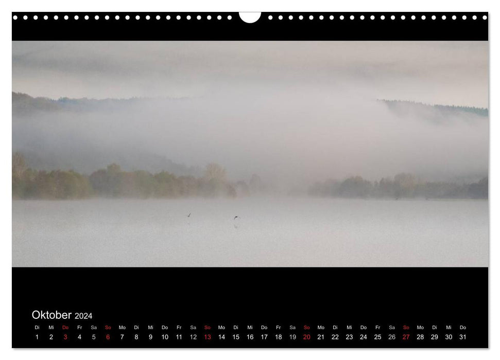 NEBEL (CALVENDO Wandkalender 2024)