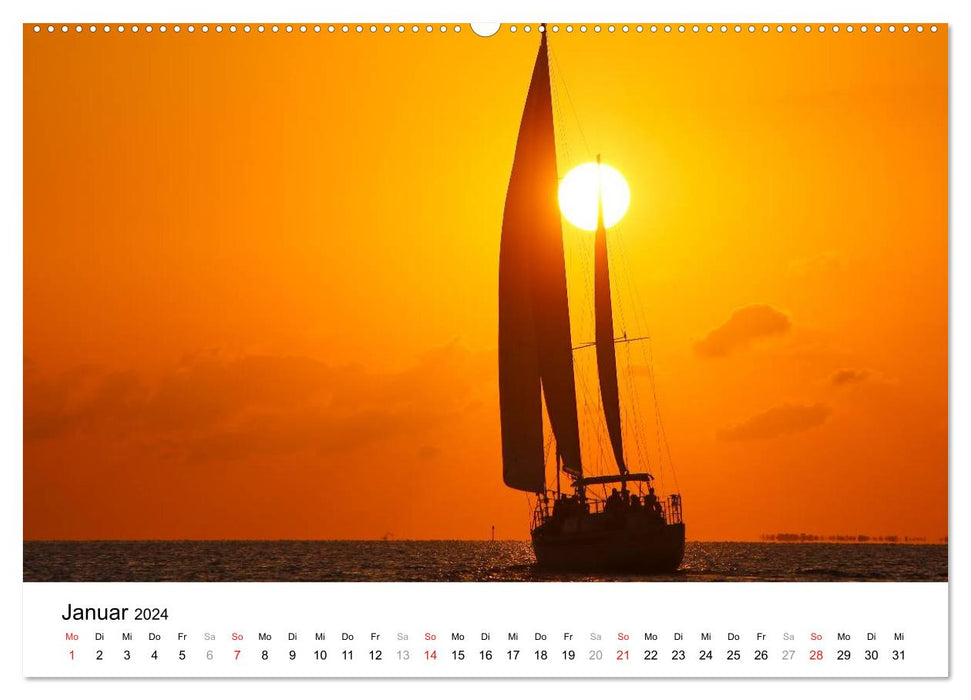 Unter der Sonne Floridas (CALVENDO Premium Wandkalender 2024)
