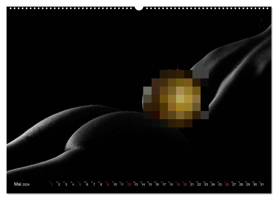 Fruit Nudes 2024 (CALVENDO Premium Wandkalender 2024)