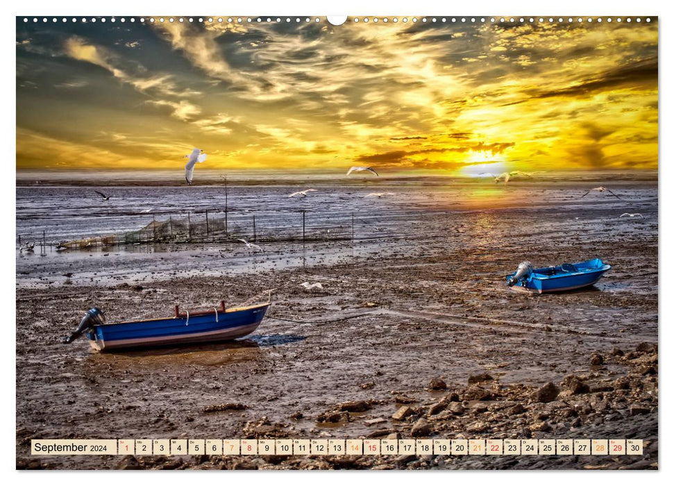 Friesland - Watt und Nordsee (CALVENDO Premium Wandkalender 2024)