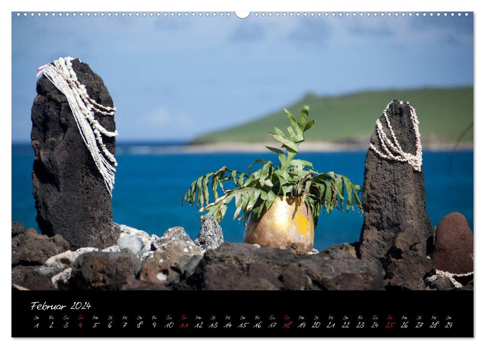 Hawaii (CALVENDO Wandkalender 2024)