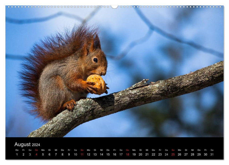Tierkalender 2024 (CALVENDO Premium Wandkalender 2024)