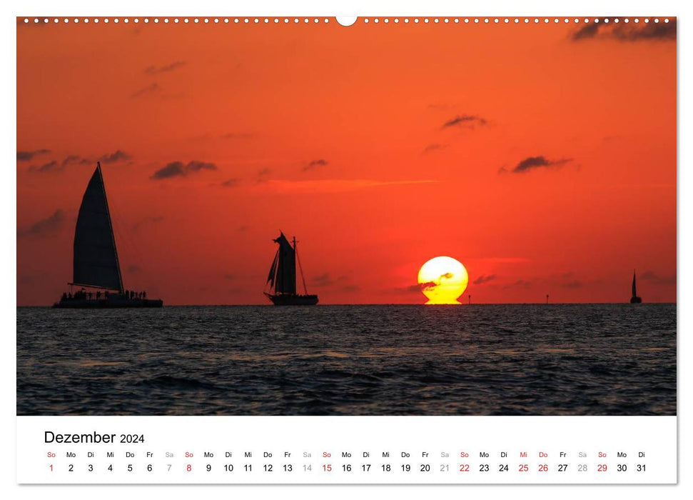 Unter der Sonne Floridas (CALVENDO Wandkalender 2024)