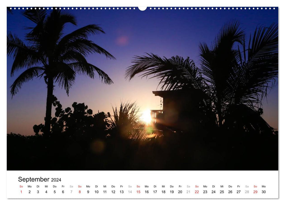 Unter der Sonne Floridas (CALVENDO Wandkalender 2024)