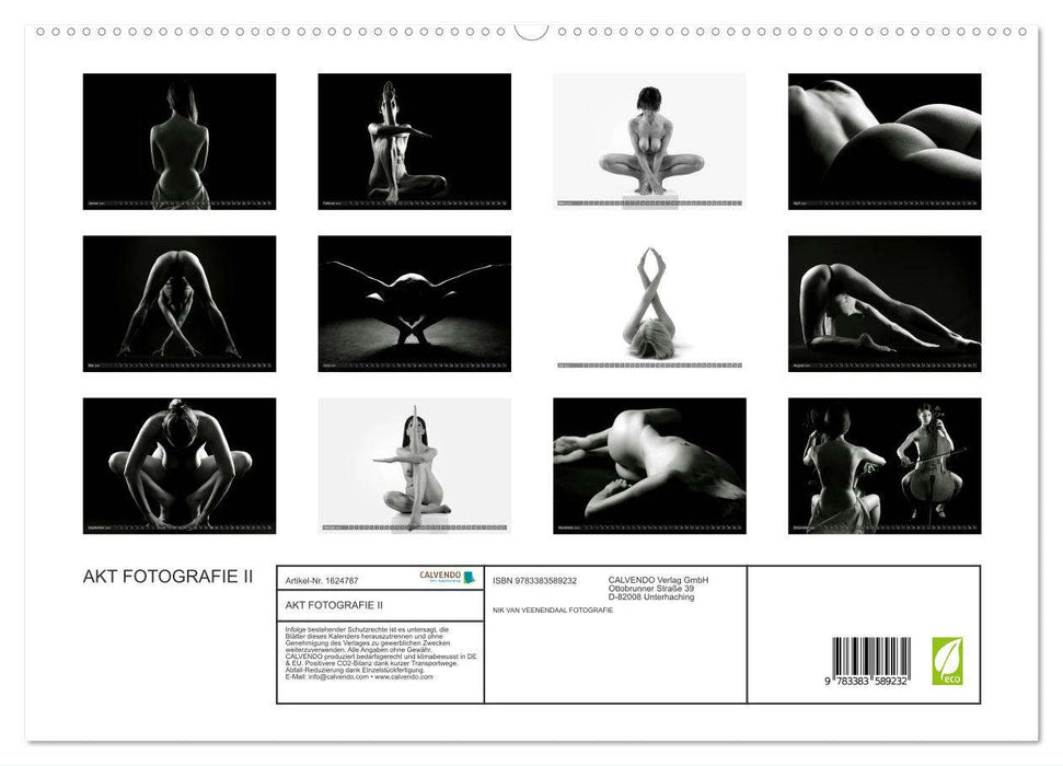 AKT FOTOGRAFIE II (CALVENDO Premium Wandkalender 2024)