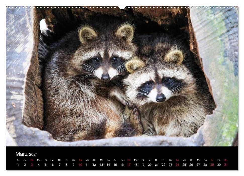Tierkalender 2024 (CALVENDO Wandkalender 2024)