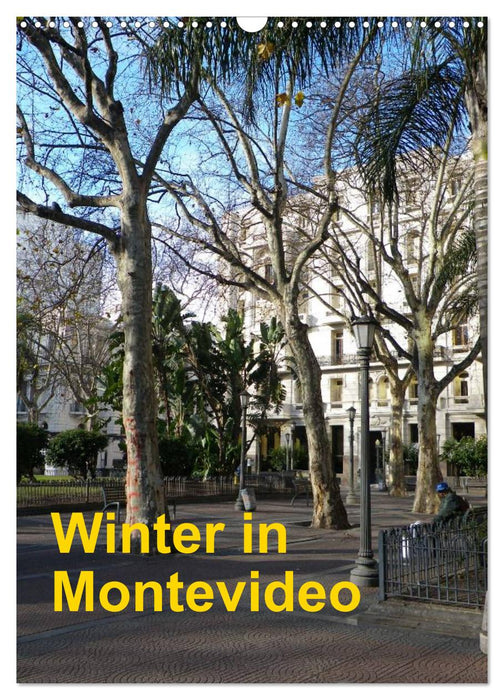 Winter in Montevideo (CALVENDO Wandkalender 2024)