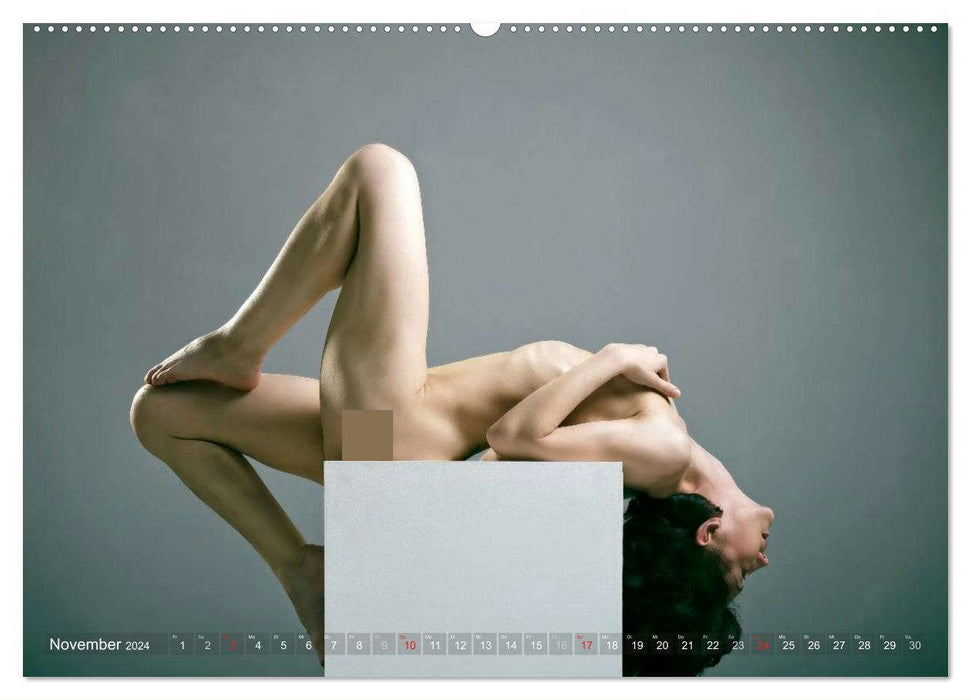 ACT PHOTOGRAPHY I (Calendrier mural CALVENDO 2024) 