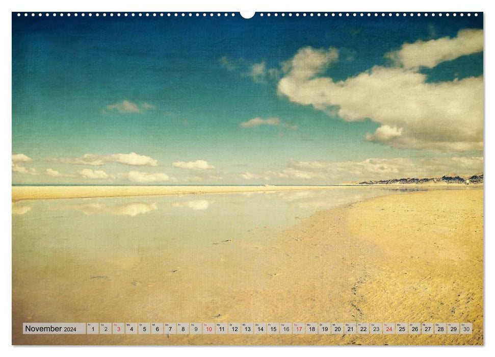 AMRUM Art (CALVENDO Premium Wandkalender 2024)