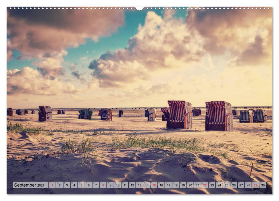 AMRUM Art (CALVENDO Premium Wandkalender 2024)