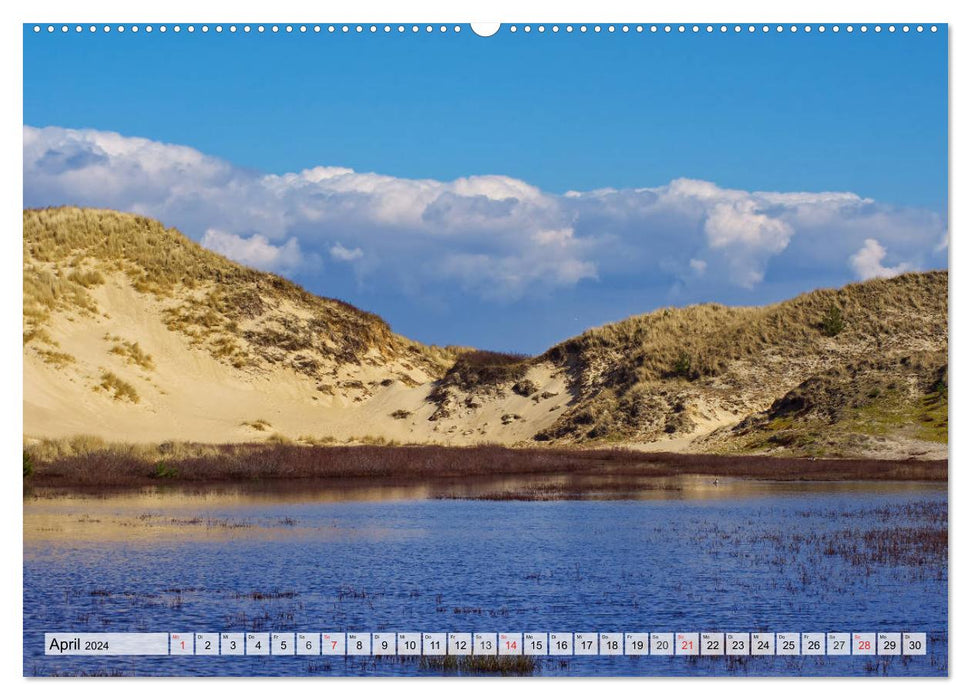 Île d'Amrum dans la mer du Nord (Calvendo Premium Wall Calendar 2024) 