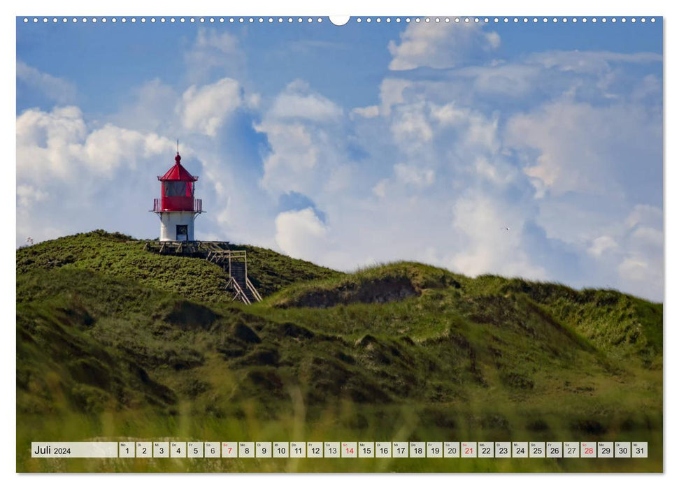 Île d'Amrum dans la mer du Nord (Calvendo Premium Wall Calendar 2024) 