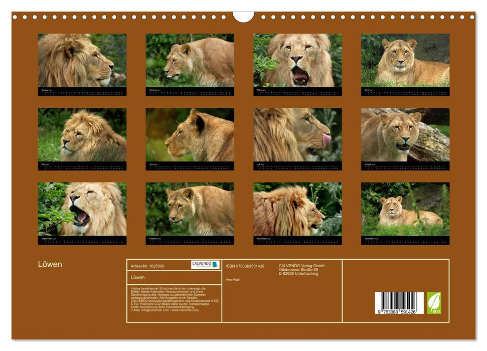 Löwen (CALVENDO Wandkalender 2024)