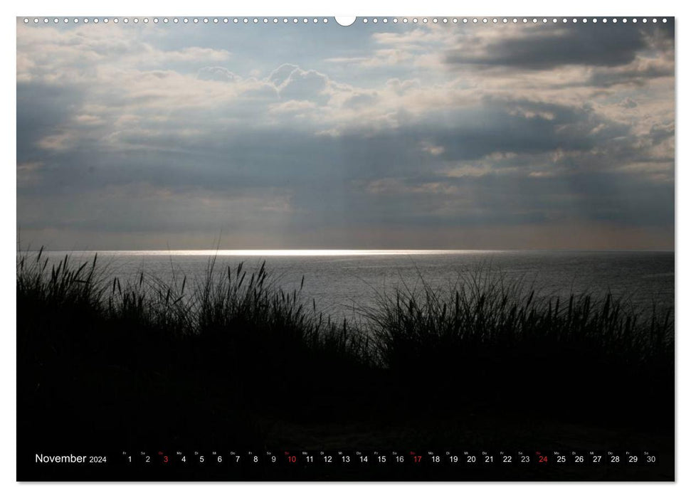 Dänische Nordsee (CALVENDO Premium Wandkalender 2024)